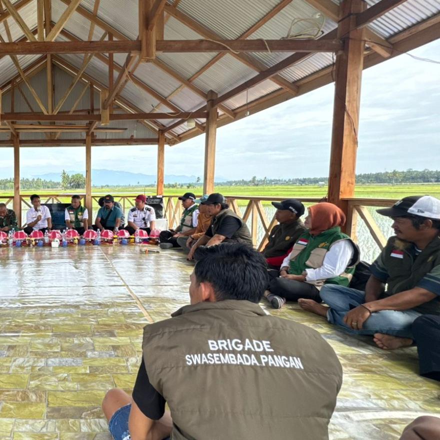 Syukuran Swasembada Pangan Digelar di Sanggar Tani Poktan Mekar 1 Desa Sappa